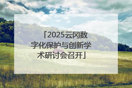 2025云冈数字化保护与创新学术研讨会召开