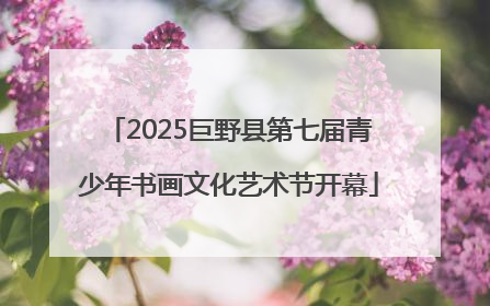 2025巨野县第七届青少年书画文化艺术节开幕