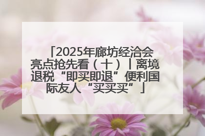2025年廊坊经洽会亮点抢先看（十）丨离境退税“即买即退”便利国际友人“买买买”