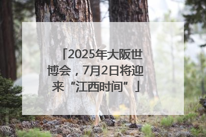 2025年大阪世博会，7月2日将迎来“江西时间”