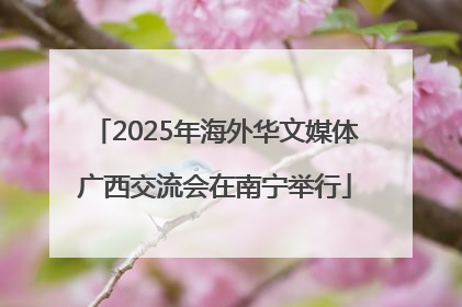 2025年海外华文媒体广西交流会在南宁举行