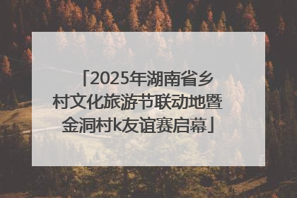 2025年湖南省乡村文化旅游节联动地暨金洞村k友谊赛启幕