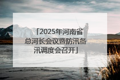 2025年河南省总河长会议暨防汛备汛调度会召开