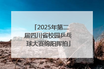 2025年第二届四川省校园乒乓球大赛绵阳挥拍