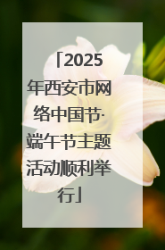 2025年西安市网络中国节·端午节主题活动顺利举行