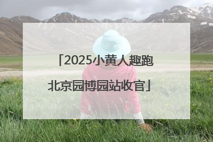 2025小黄人趣跑北京园博园站收官