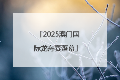 2025澳门国际龙舟赛落幕