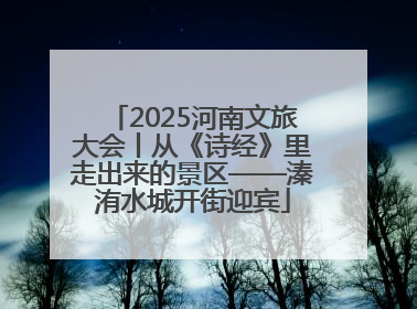 2025河南文旅大会丨从《诗经》里走出来的景区——溱洧水城开街迎宾