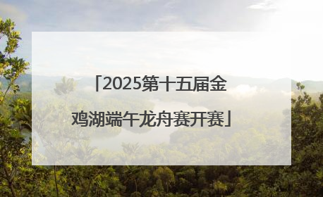 2025第十五届金鸡湖端午龙舟赛开赛