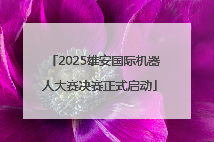 2025雄安国际机器人大赛决赛正式启动