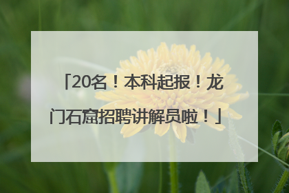 20名！本科起报！龙门石窟招聘讲解员啦！