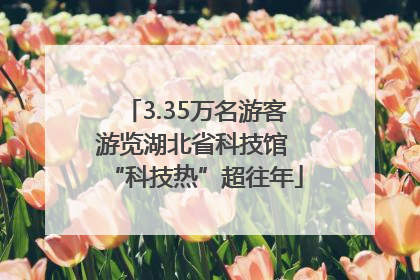 3.35万名游客游览湖北省科技馆 “科技热”超往年
