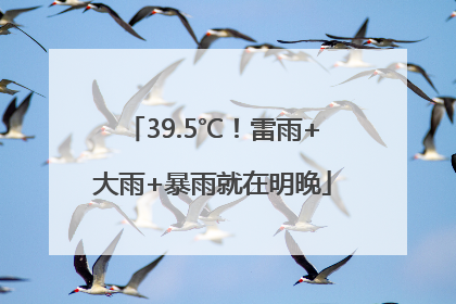 39.5℃！雷雨+大雨+暴雨就在明晚