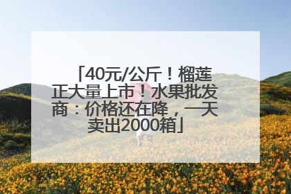40元/公斤！榴莲正大量上市！水果批发商：价格还在降，一天卖出2000箱