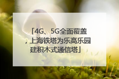 4G、5G全面覆盖，上海铁塔为乐高乐园建积木式通信塔