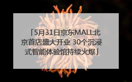 5月31日京东MALL北京首店盛大开业 30个沉浸式智能体验馆持续火爆