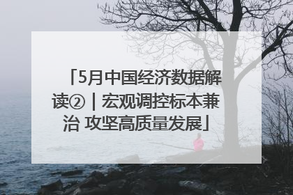 5月中国经济数据解读②｜宏观调控标本兼治 攻坚高质量发展