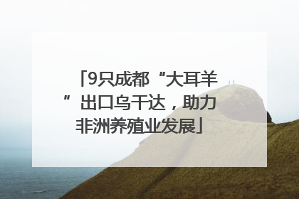 9只成都“大耳羊”出口乌干达，助力非洲养殖业发展