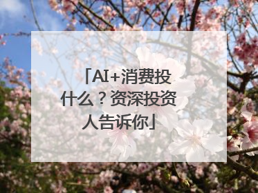 AI+消费投什么？资深投资人告诉你