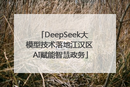 DeepSeek大模型技术落地江汉区 AI赋能智慧政务